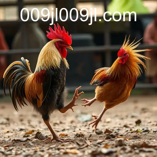 Exploring the Rise of Online Sabong: A New Digital Frontier